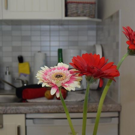 Ferienapartments Urlaub Und Meer Kuehlungsborn Phòng bức ảnh